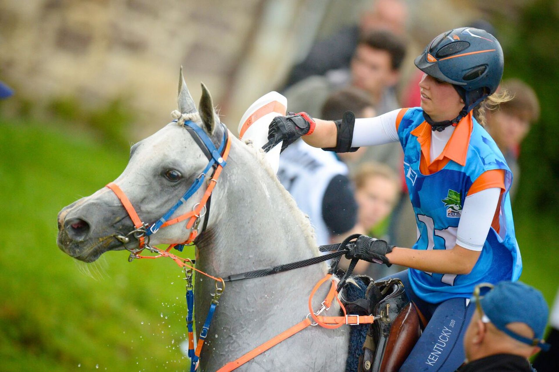 利骑马最新,小巷深处的独特风味美食体验