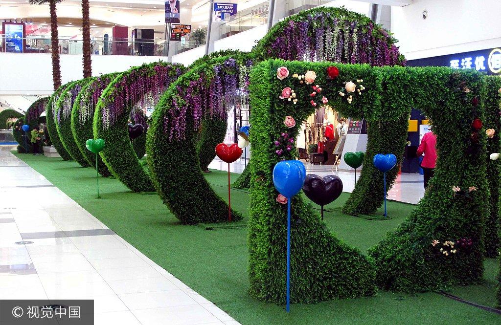 沈阳拍照攻略大全,从入门到专业,零基础也能拍出大片感的详细指南