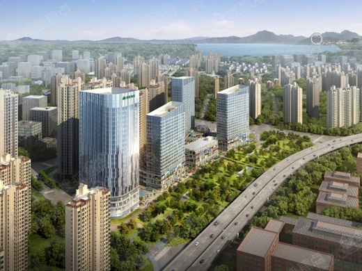 大城最新动态,温馨日常的欢乐时光