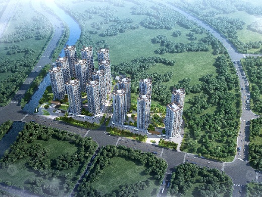 大城最新动态,温馨日常的欢乐时光