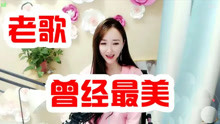 最新最美陪我，任务完成与技能学习指南大全