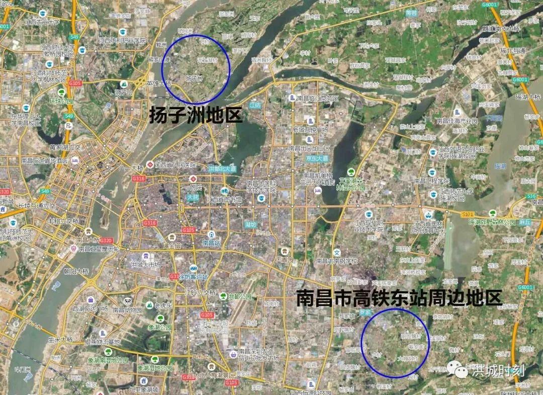 最新扬子洲详细步骤指南，从入门到精通的全方位指南