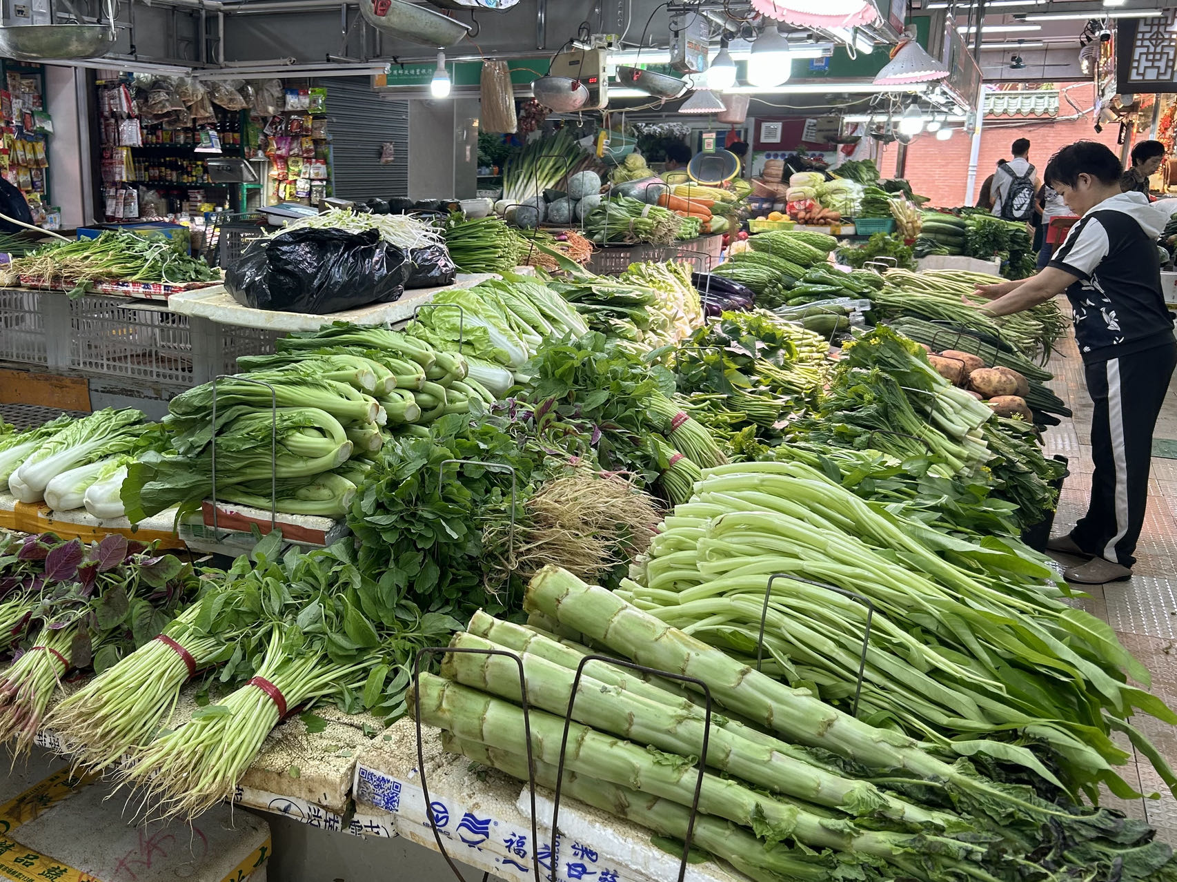 绿色革命推动蔬菜产业成长与自信,最新蔬菜新闻报道