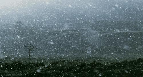 宁城最新公告通知速递