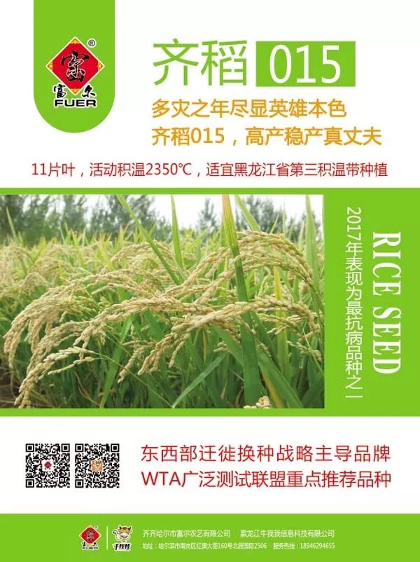 最新粳稻价格走势及购买指南