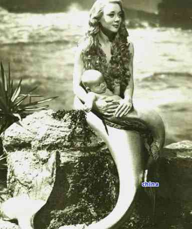 最新美人蛇制作步骤指南,从零开始的制作之旅