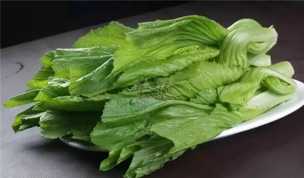 芥菜最新报道，小芥菜的温馨日常与友情故事揭秘