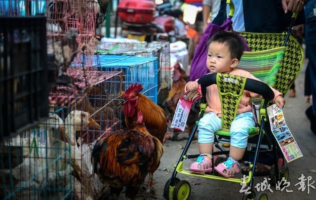 昆明最新赶集，多元视角的深度解析