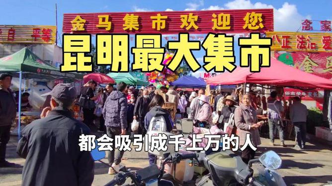 昆明最新赶集,多元视角的深度解析