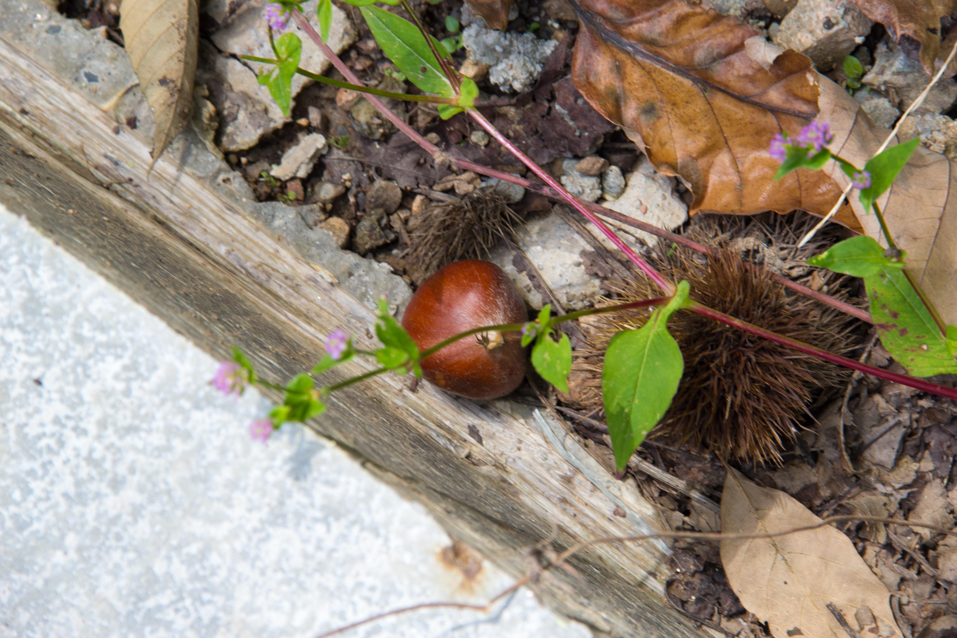陕西图集,自然美景探索之旅,寻找内心的平和与喜悦