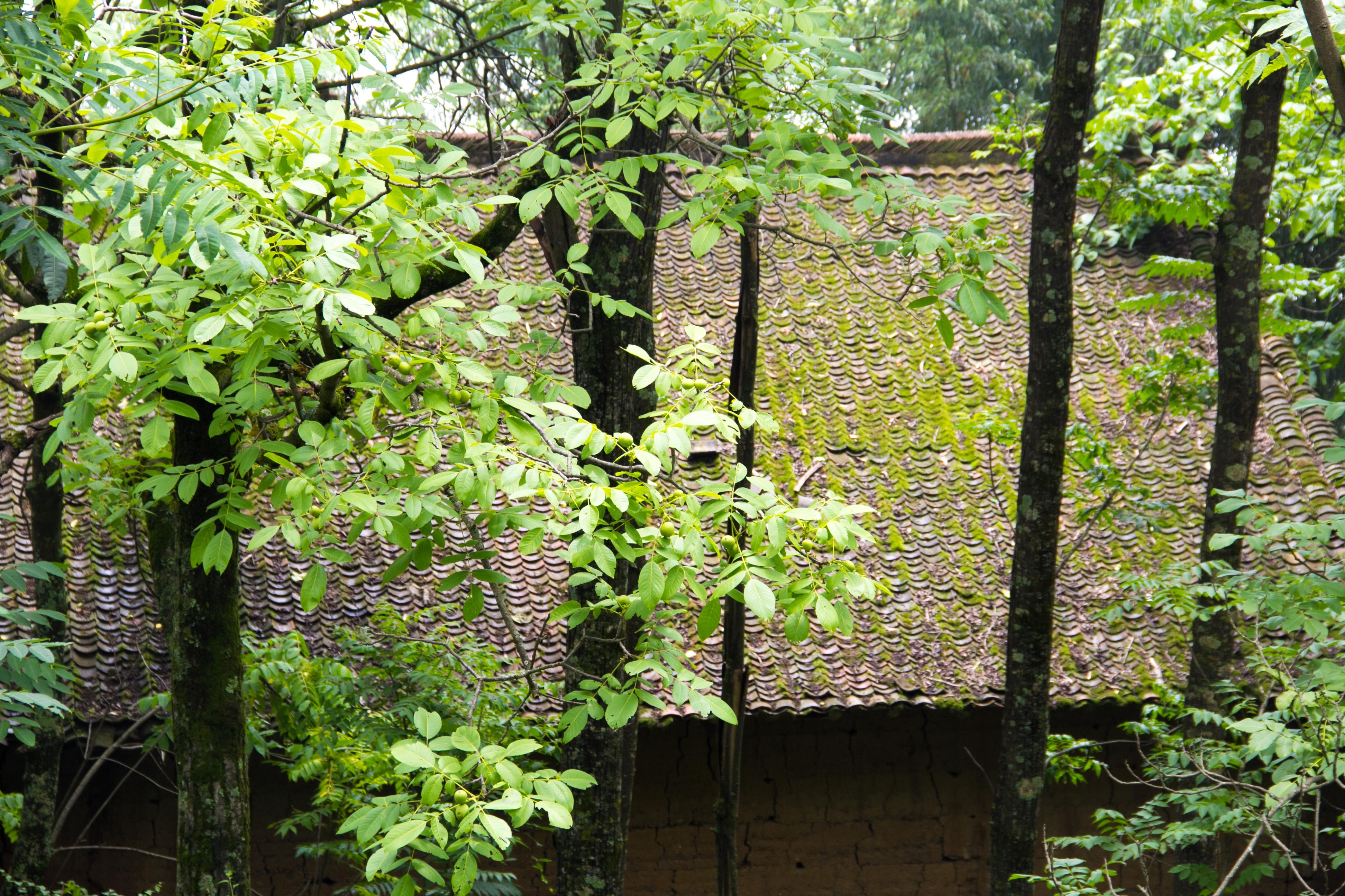 陕西图集,自然美景探索之旅,寻找内心的平和与喜悦