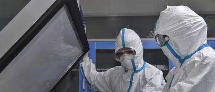 冠状疫情最新动态，全球挑战与时代印记