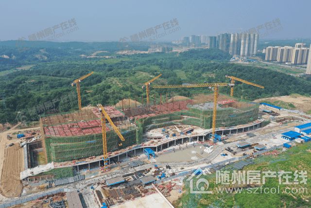 湖北随州最新动态揭秘,城市发展三大焦点深度解析