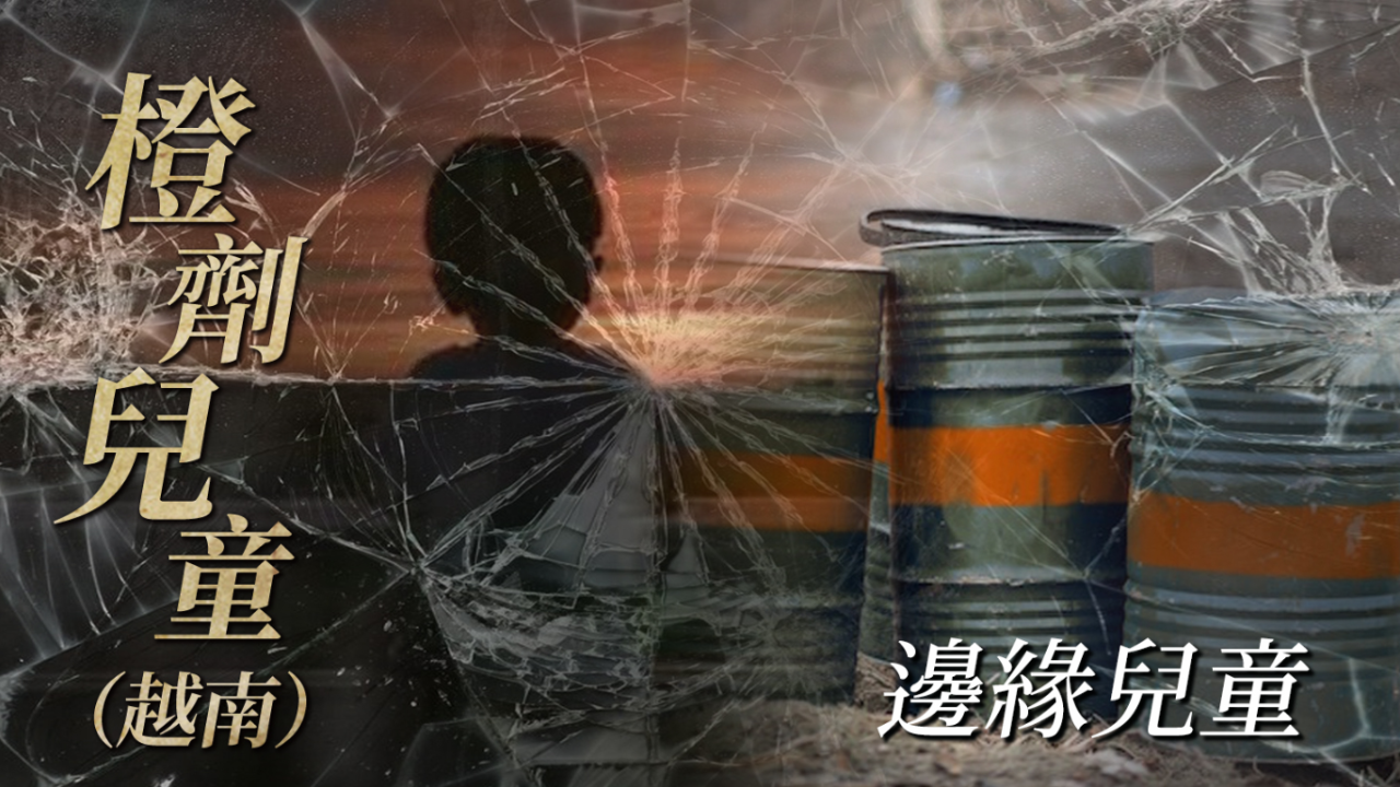 橙剂最新动态，力量变化中的自信与成就感培育之路