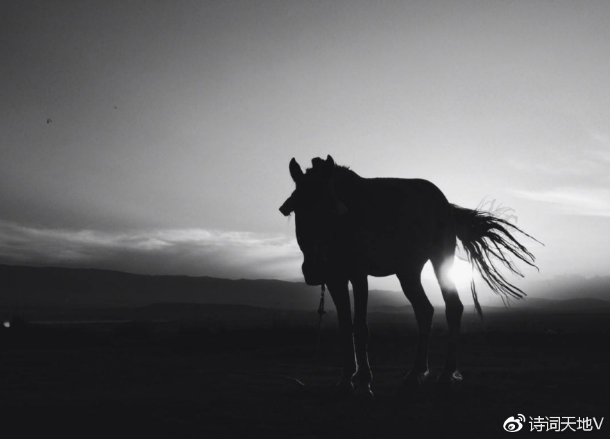 与自然美景的轻松遨游，脱缰最新寂寞之旅