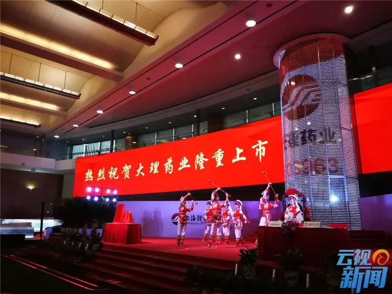 大理药业最新动态揭秘，最新发展及行业资讯速递