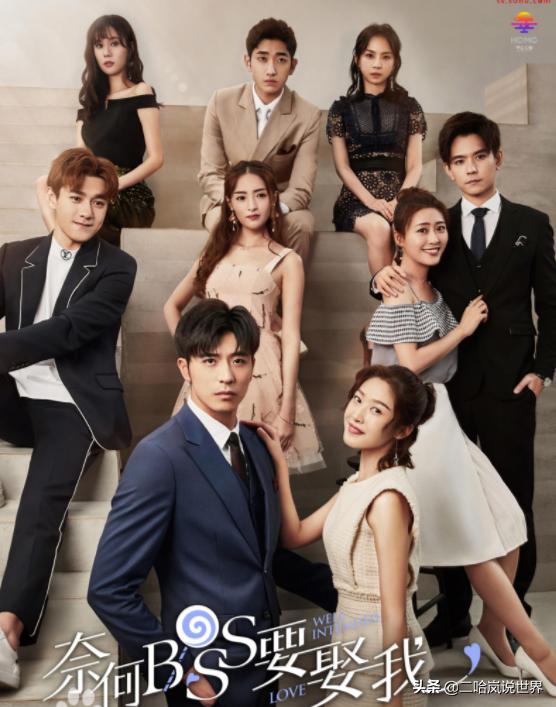 聚焦当下热门话题与趋势的总裁剧最新动态