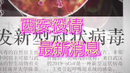 全球最新疫情动态与科技革新重塑生活