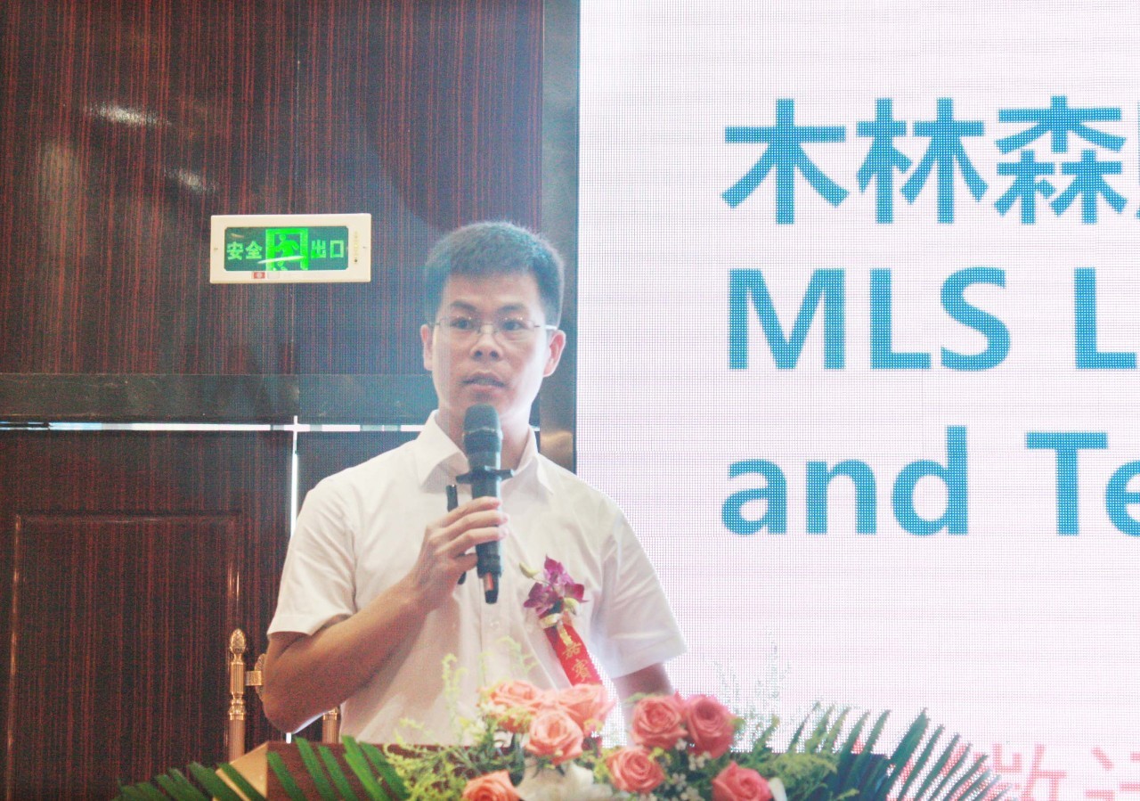 木林森最新动态，绿色生态与创新科技的融合蓬勃发展