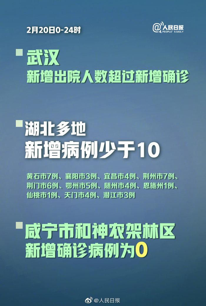 襄阳最新病例详解，了解与应对的指南