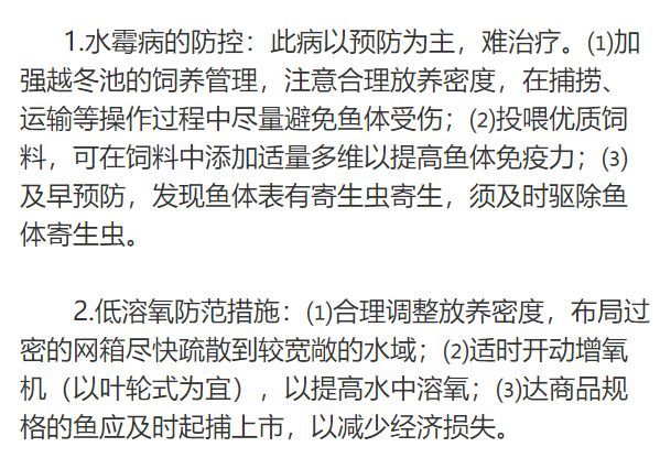 科技革新引领智能健康预警,全新产品重磅来袭