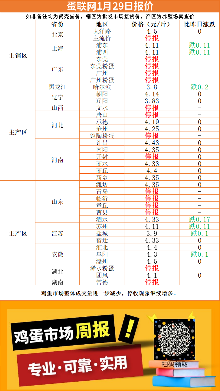 最新鸡蛋价格行情及购买指南,今日价详解与步骤指引