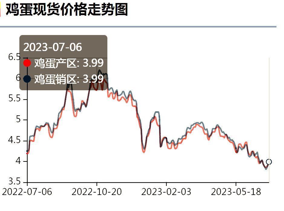 最新鸡蛋价格行情及购买指南,今日价详解与步骤指引