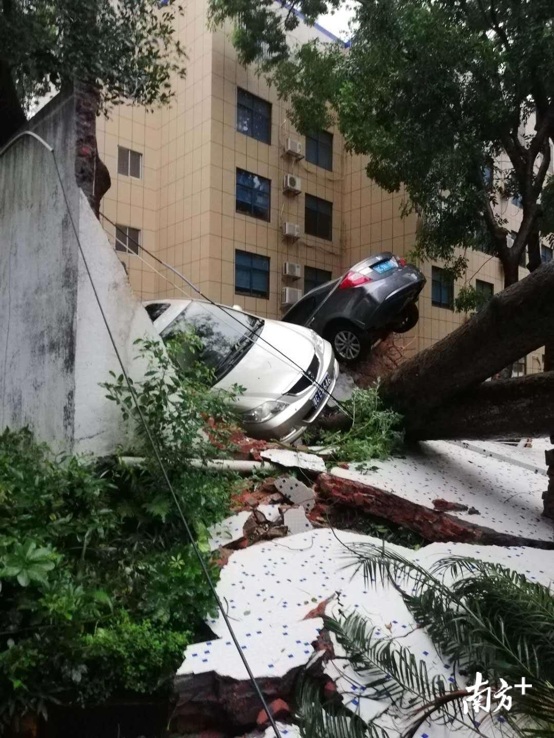 台风海高斯最新动态,温馨日常在风暴之下