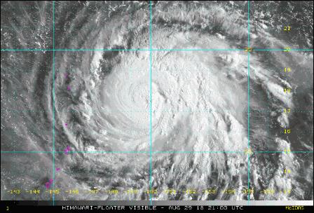 台风8月动态,多方观点分析与个人立场阐述