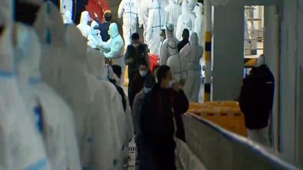 上海最新病例动态与温馨抗疫日常,小城的勇敢故事