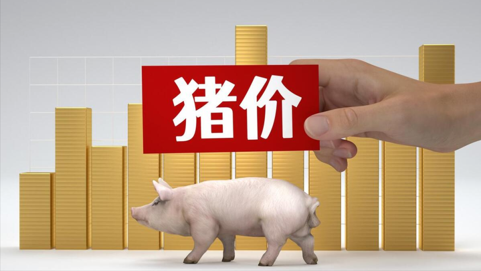 变化中的自信与成就感,今日猪价格最新报价的励志之旅