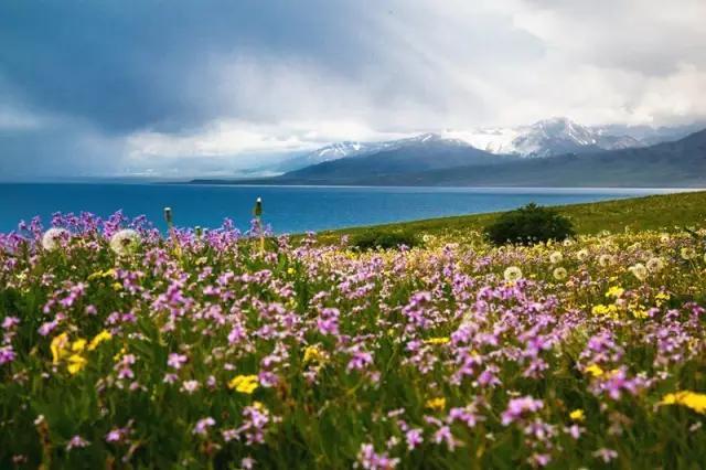 新疆最新疫情通报更新✨