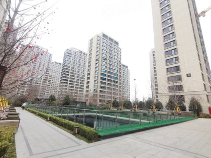 历下金茂府最新动态,日常趣事与友情纽带