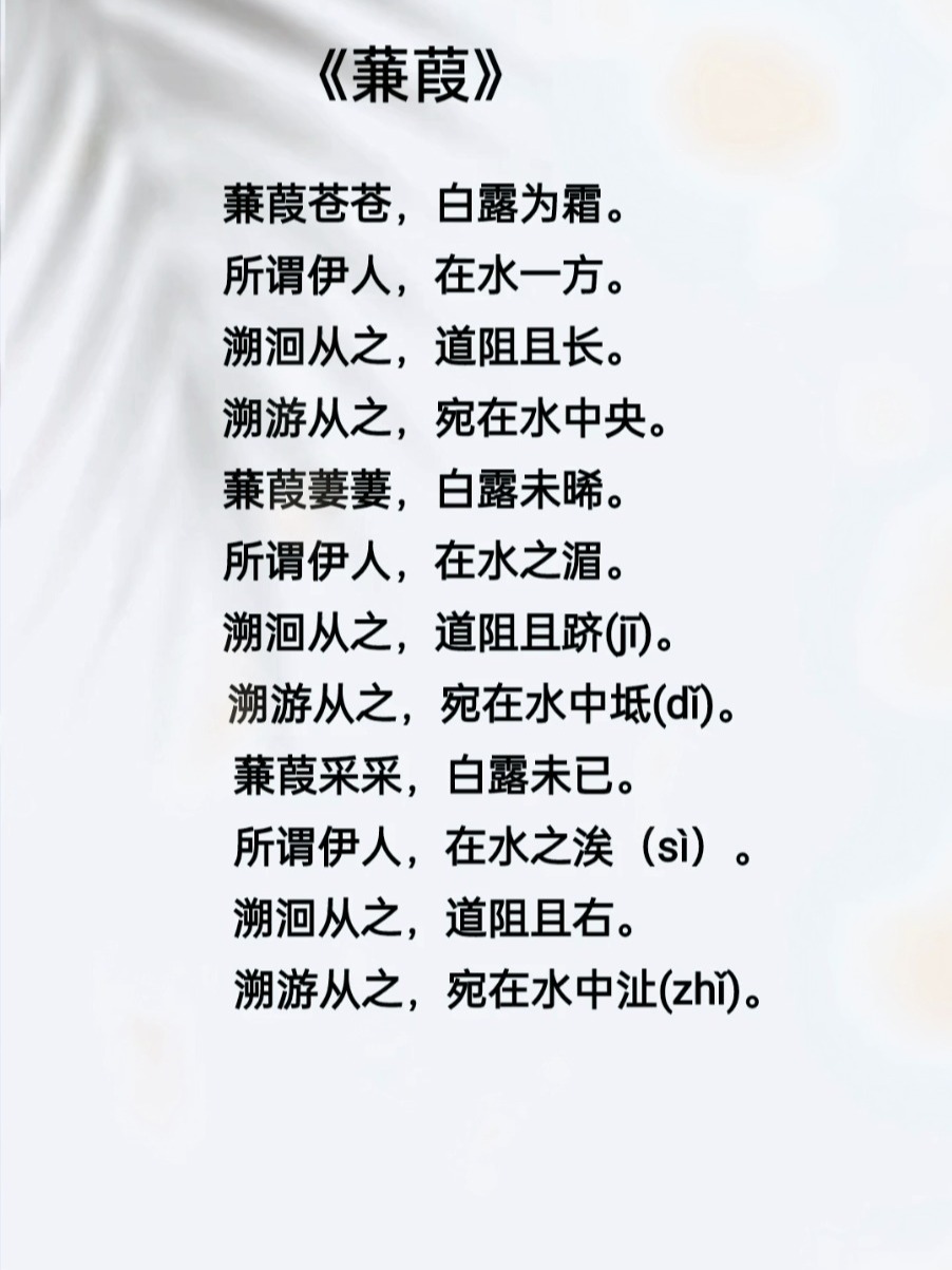 蒹葭最新版,小巷中的秘密美食探索