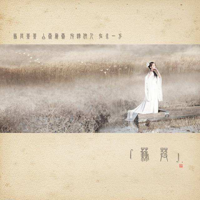 蒹葭最新版,小巷中的秘密美食探索