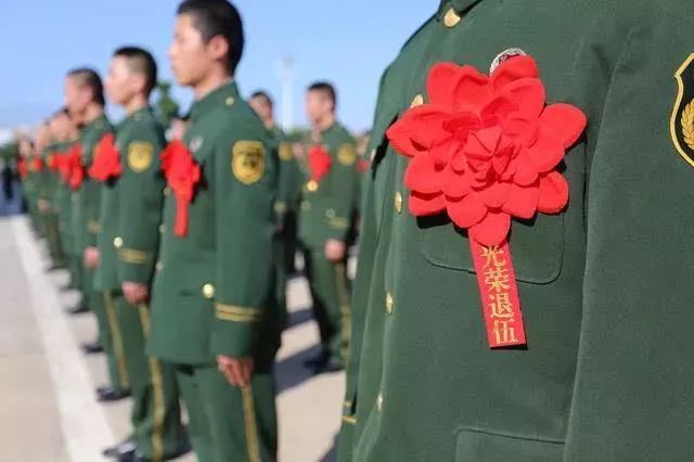 士兵退伍最新通知全面解读