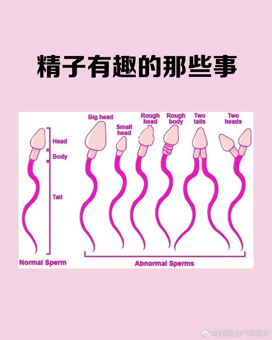 精子窝最新人口动态,学习变化,拥抱自信与成就感之路