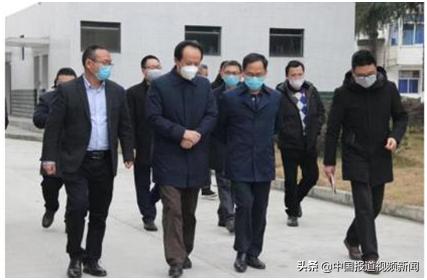 病毒最新发展与奇妙冒险之旅揭秘