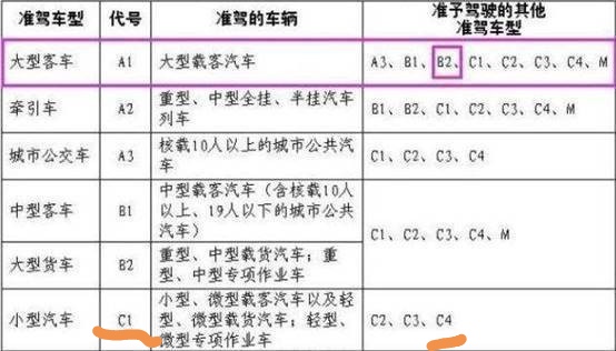 A1驾照最新高科技产品介绍概览