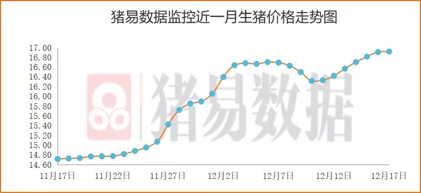 最新猪价行情走势分析