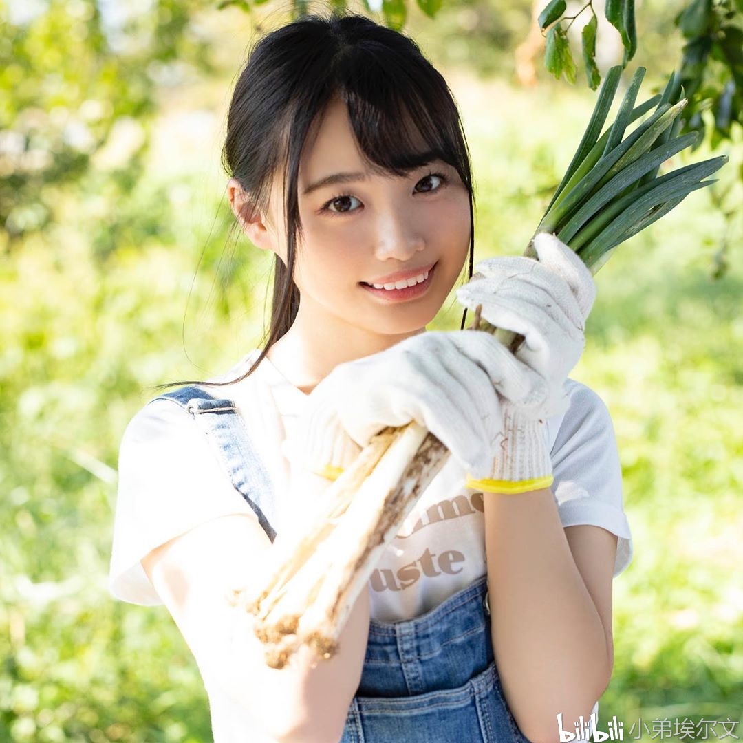 今井夏帆,娱乐界璀璨新星的崛起