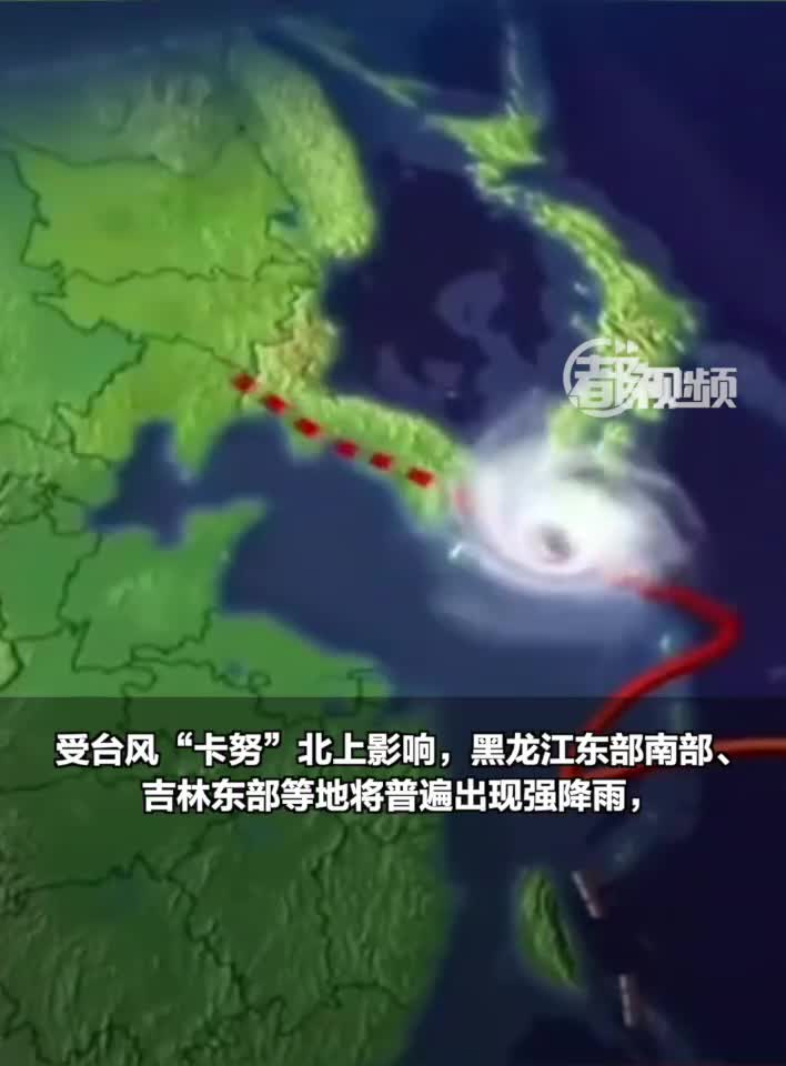 小红书分享,东北最新台风名字揭晓🌀台风动态播报