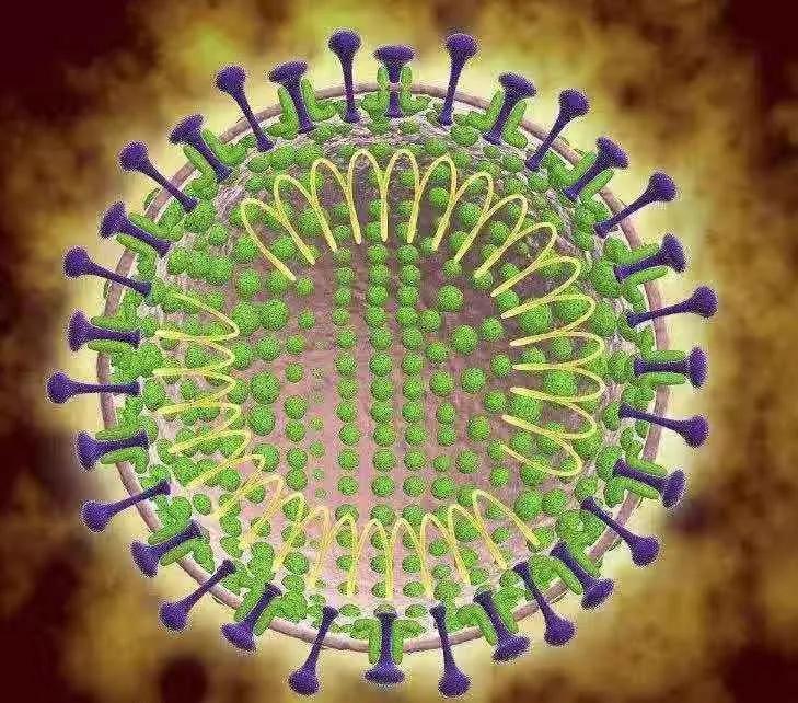武汉新型肺炎最新动态更新