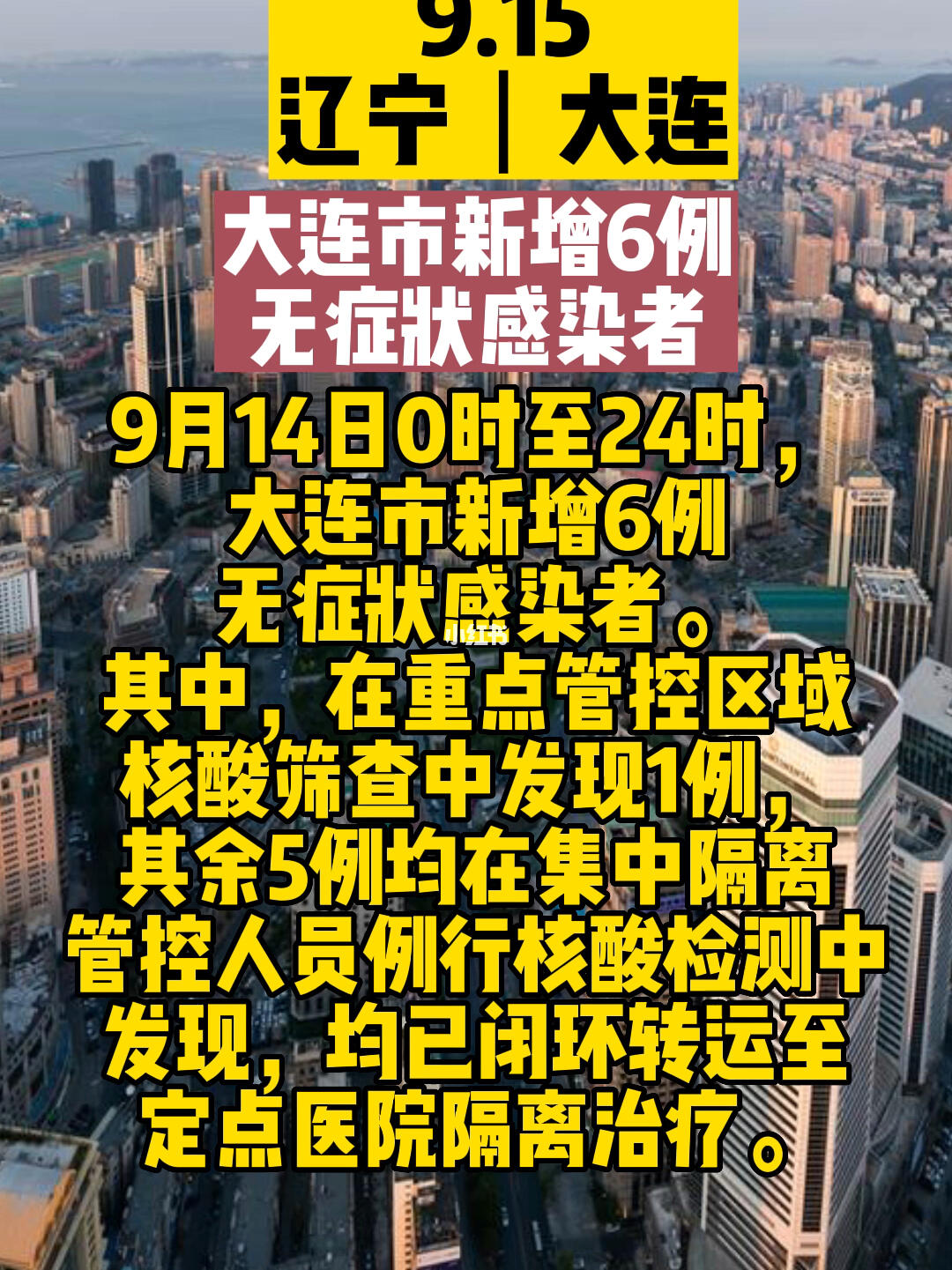 大连疫情最新动态，日常故事中的温情纽带