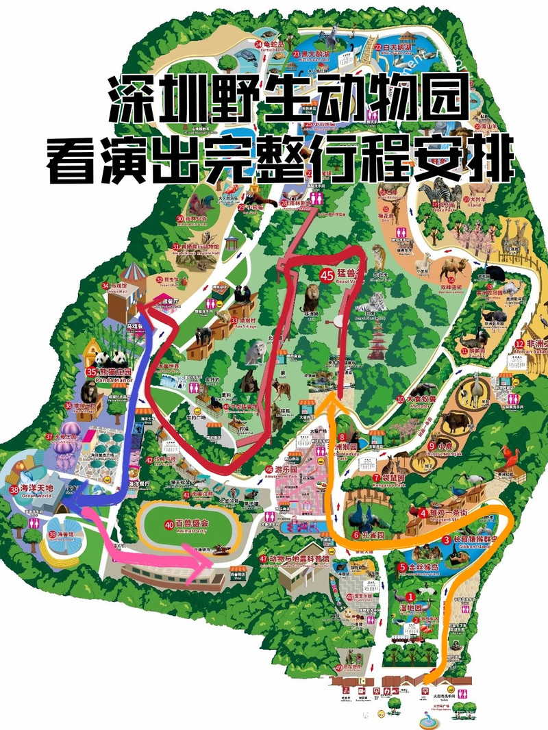 深圳最新动物园,自然之旅的奇妙探索之旅