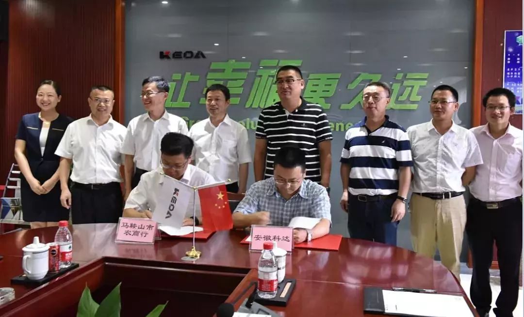 科达洁能最新动态,领跑清洁技术,传递绿色能量