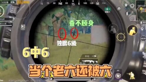 温馨日常趣事,最新贼六的惊喜亮相